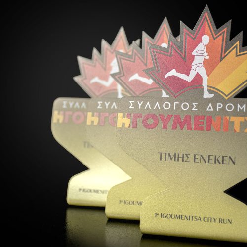 HGOUMEN_CR_9