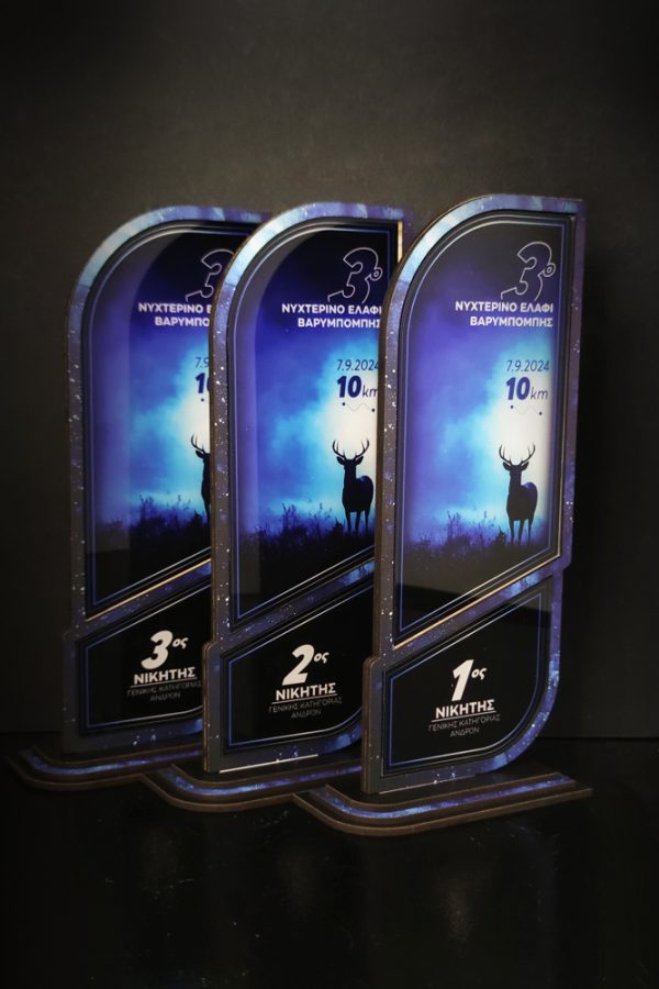 IMG_20240829_103143-χ