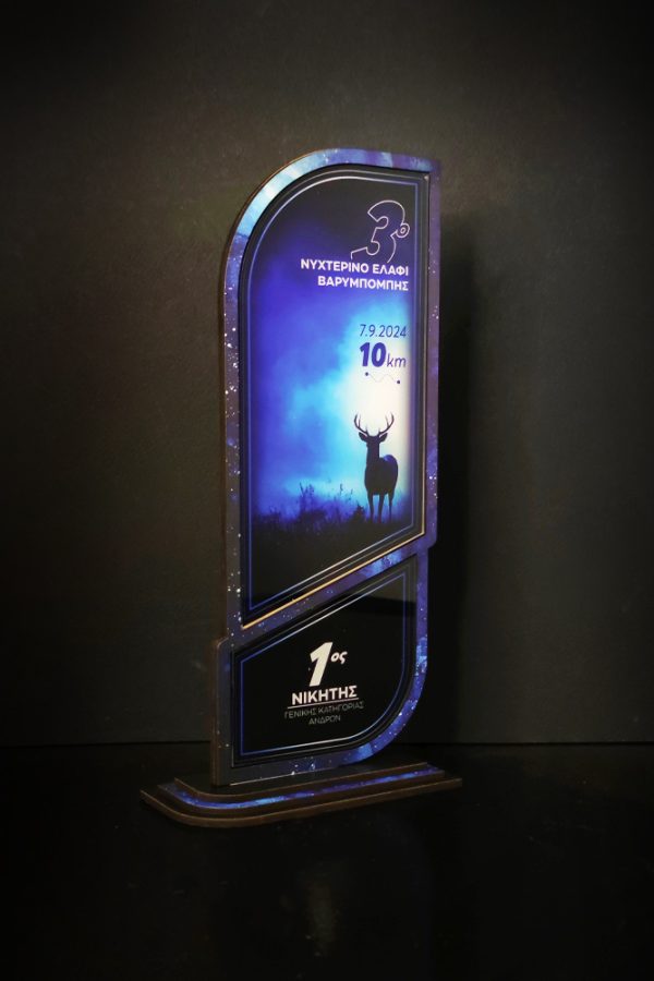 IMG_20240829_124008-χ