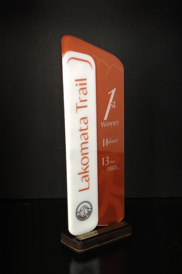 IMG_20240918_170003-x