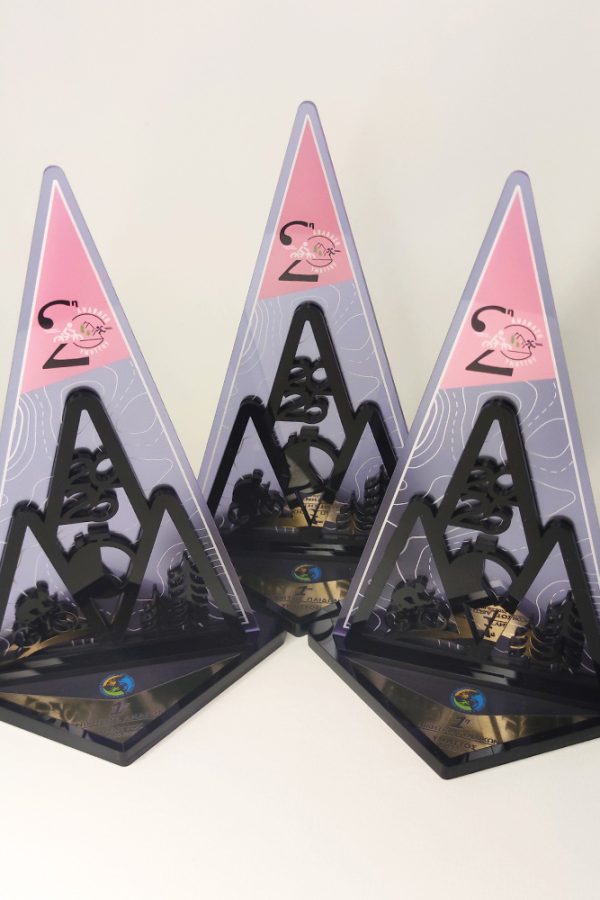 IMG_20250226_094413-χ