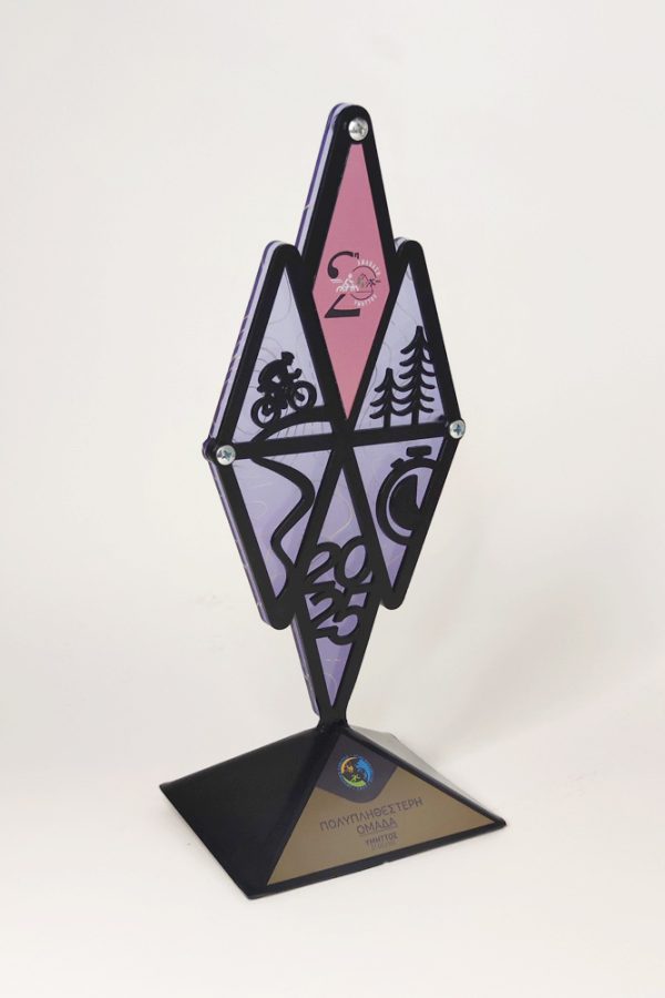 IMG_20250226_111345-χ